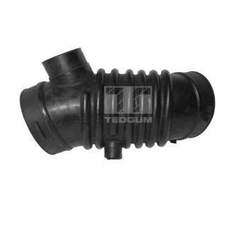 įsiurbimo vamzdis, oro filtras TEDGUM 00392520