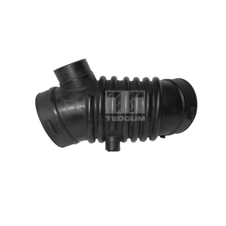 įsiurbimo vamzdis, oro filtras TEDGUM 00392520