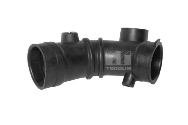 įsiurbimo vamzdis, oro filtras TEDGUM 00392527