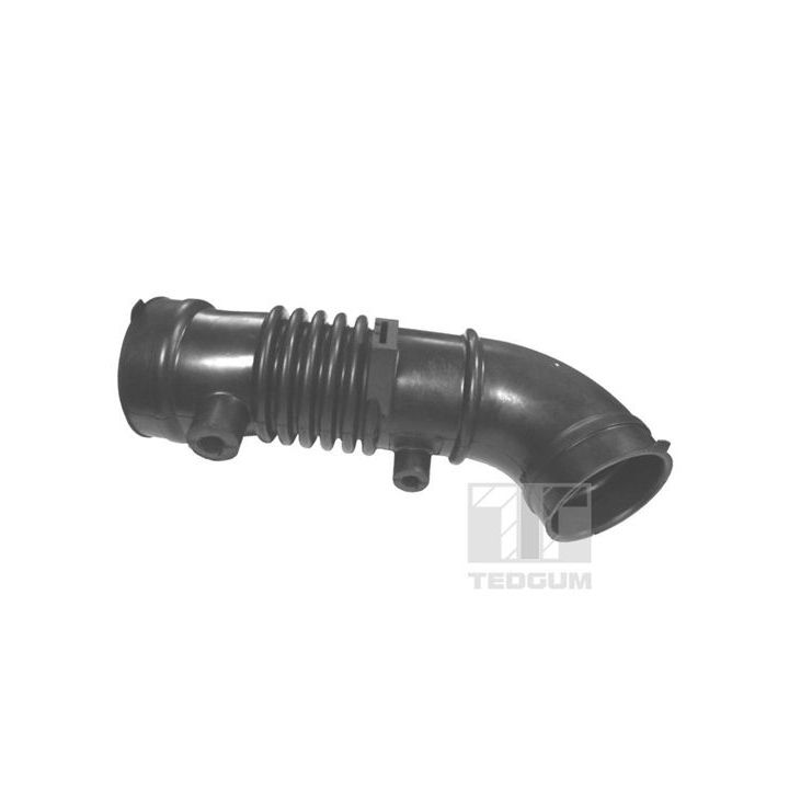 įsiurbimo vamzdis, oro filtras TEDGUM 00396364