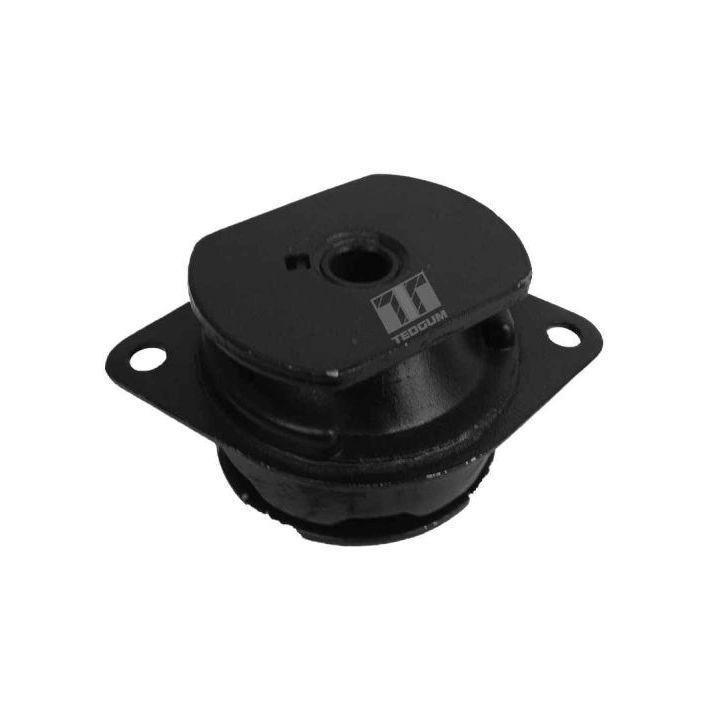 Montavimas, automatinės transmisijos atrama TEDGUM 00212974