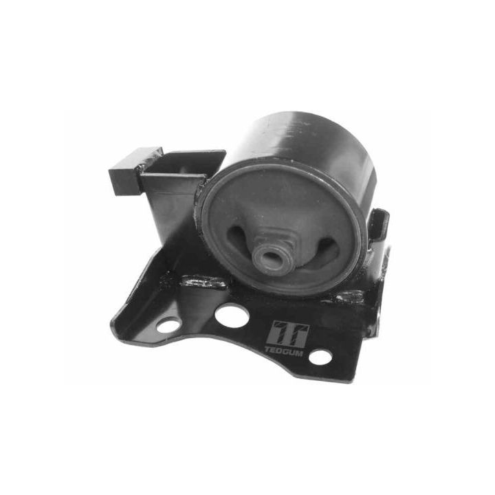 Montavimas, automatinės transmisijos atrama TEDGUM 01213074