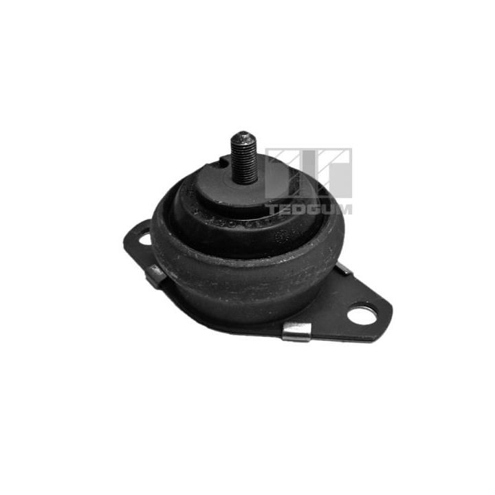 Montavimas, neautomatinės transmisijos atrama TEDGUM 00216114