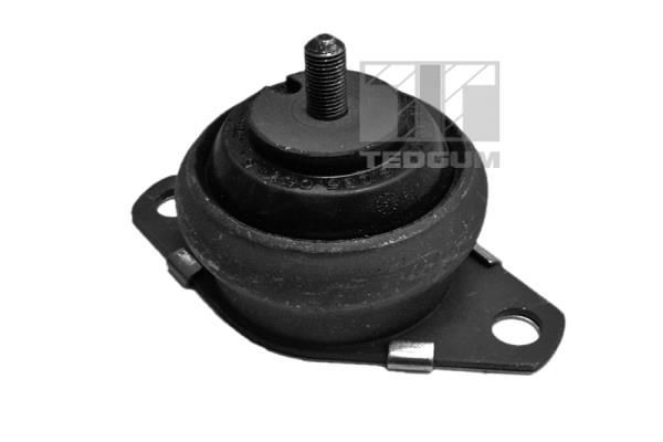 Montavimas, neautomatinės transmisijos atrama TEDGUM 00216114