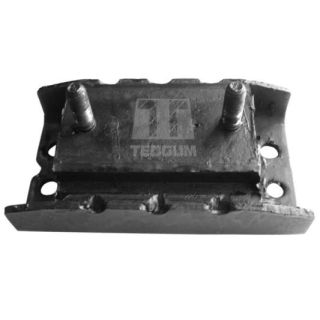 Montavimas, neautomatinės transmisijos atrama TEDGUM 00309768