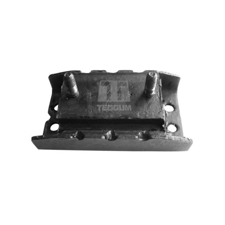 Montavimas, neautomatinės transmisijos atrama TEDGUM 00309768