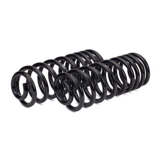 Važiuoklės komplektas, spyruoklės Arnott C-2987