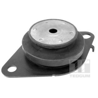 Montavimas, neautomatinės transmisijos atrama TEDGUM 00586856