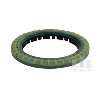 Frikcinis guolis, pakabos statramsčio atramos montavimas TEDGUM 00289656