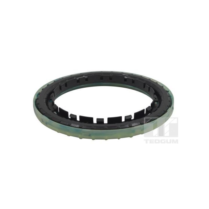 Frikcinis guolis, pakabos statramsčio atramos montavimas TEDGUM 00289656