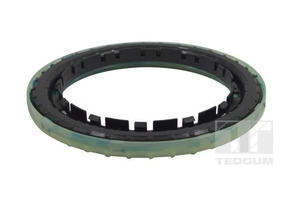 Frikcinis guolis, pakabos statramsčio atramos montavimas TEDGUM 00289656