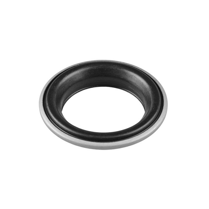 Frikcinis guolis, pakabos statramsčio atramos montavimas TEDGUM 00580694