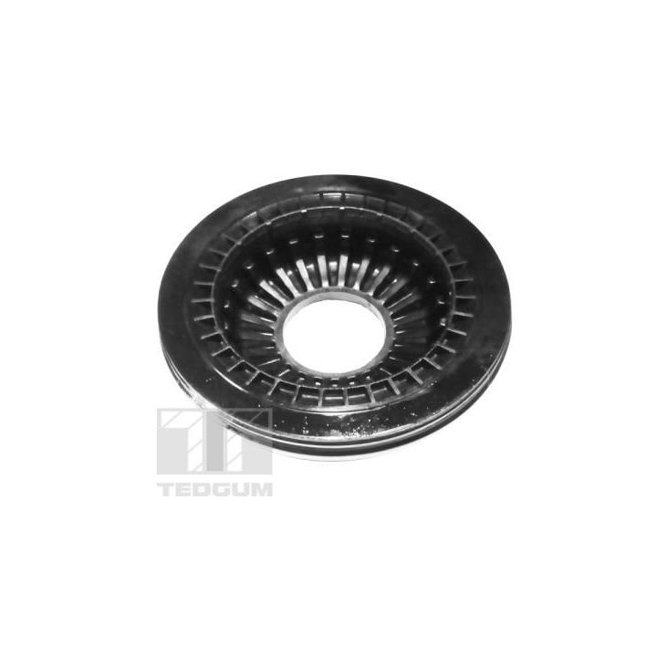 Frikcinis guolis, pakabos statramsčio atramos montavimas TEDGUM TED18543