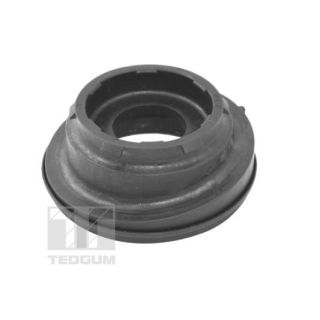 Frikcinis guolis, pakabos statramsčio atramos montavimas TEDGUM TED41480