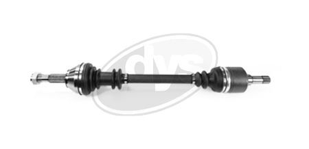 Pusašis DYS 76-FI-8019