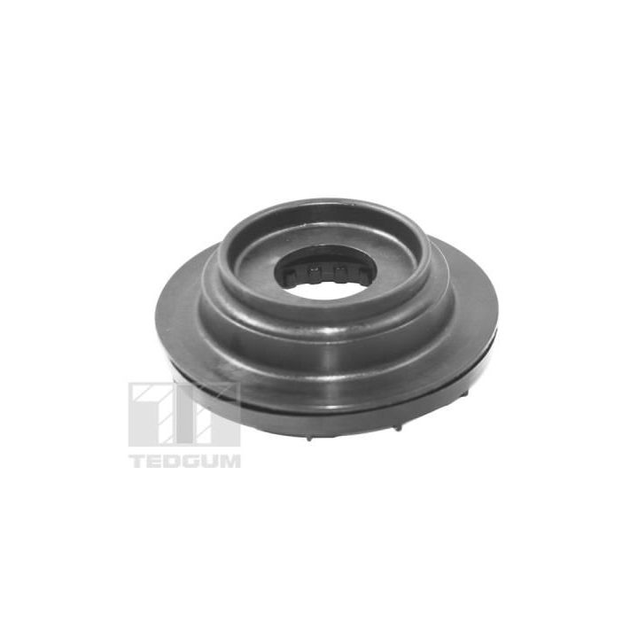 Frikcinis guolis, pakabos statramsčio atramos montavimas TEDGUM TED64743