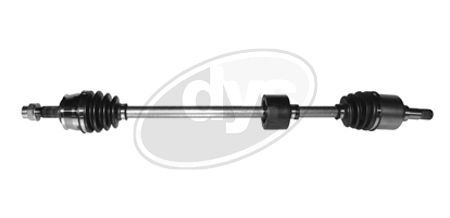 Pusašis DYS 76-FI-8089