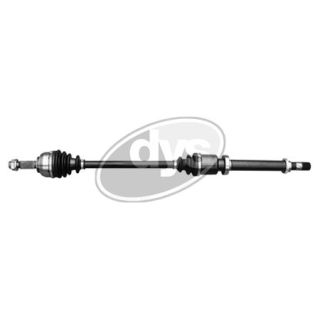 Pusašis DYS 76-RN-8081