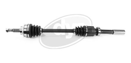 Pusašis DYS 76-RN-8169A