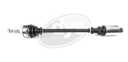 Pusašis DYS 76-RN-8170A