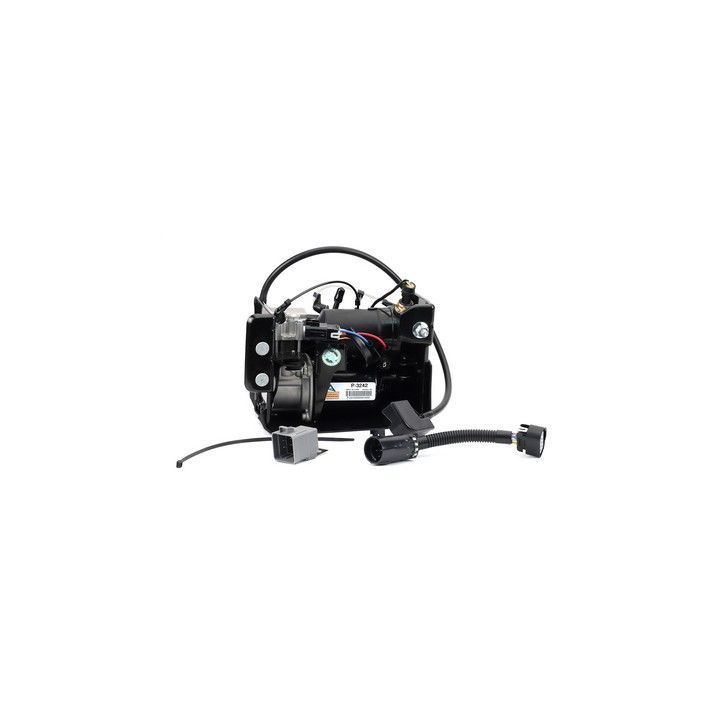 Kompresorius, suspausto oro sistema Arnott P-3242