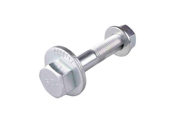 Išvirtimo reguliavimo varžtas TEDGUM TED94623