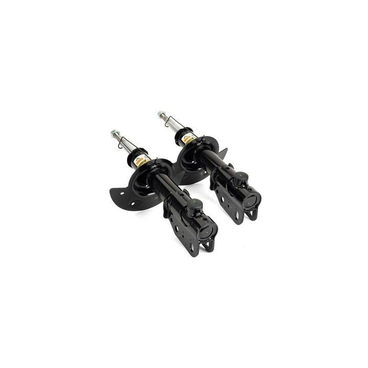 Amortizatorius Arnott SK-2189