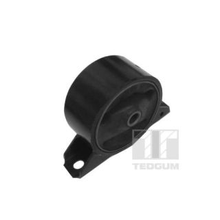 Variklio montavimas TEDGUM 00748642