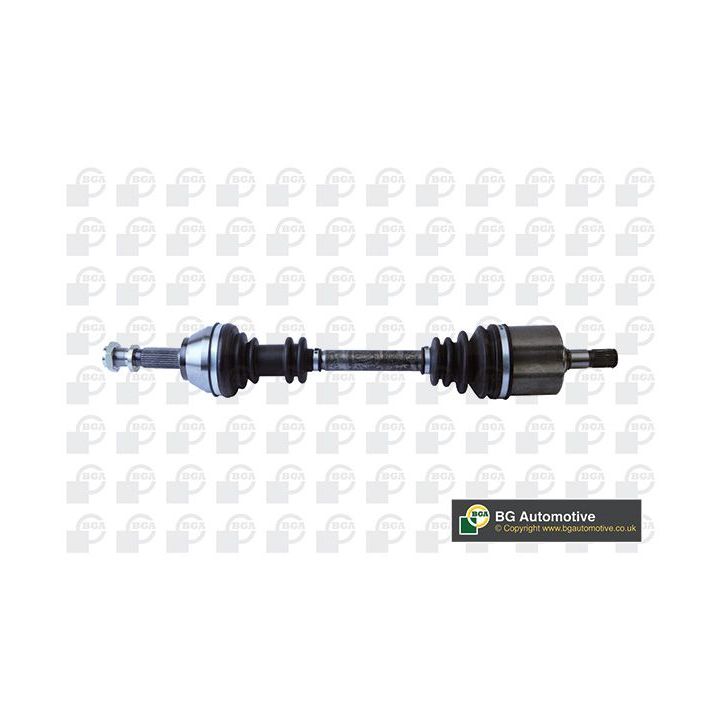 Pusašis BGA DS1411L