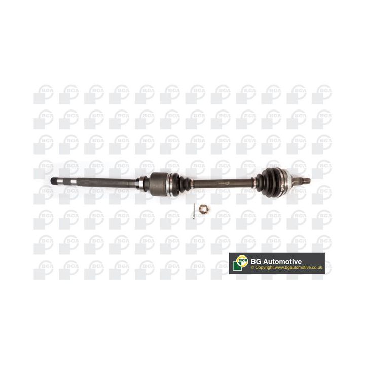 Pusašis BGA DS1418R