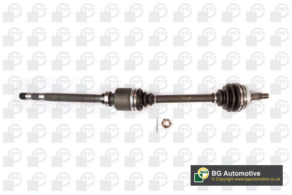 Pusašis BGA DS1418R