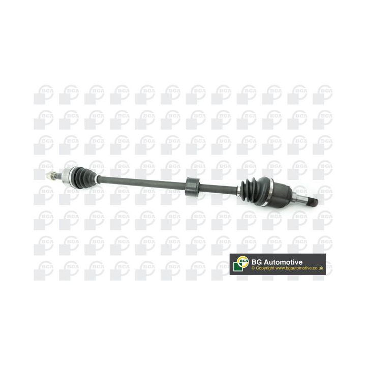 Pusašis BGA DS2211R