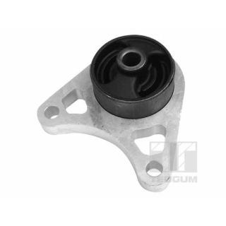 Montavimas, diferencialas TEDGUM 01164615