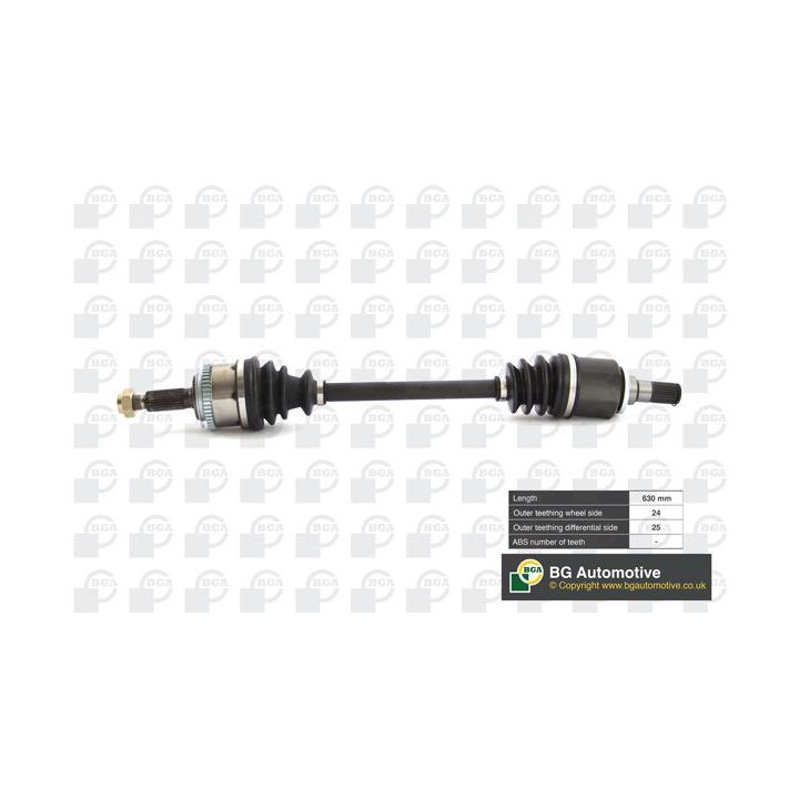 Pusašis BGA DS3604L