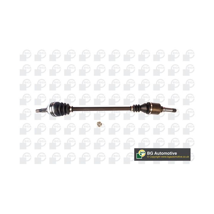 Pusašis BGA DS4206R