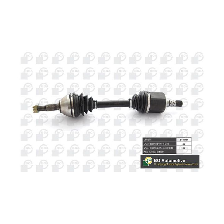 Pusašis BGA DS6317L