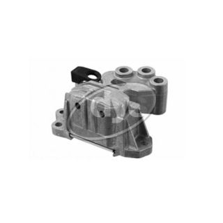 Variklio montavimas DYS 71-03176