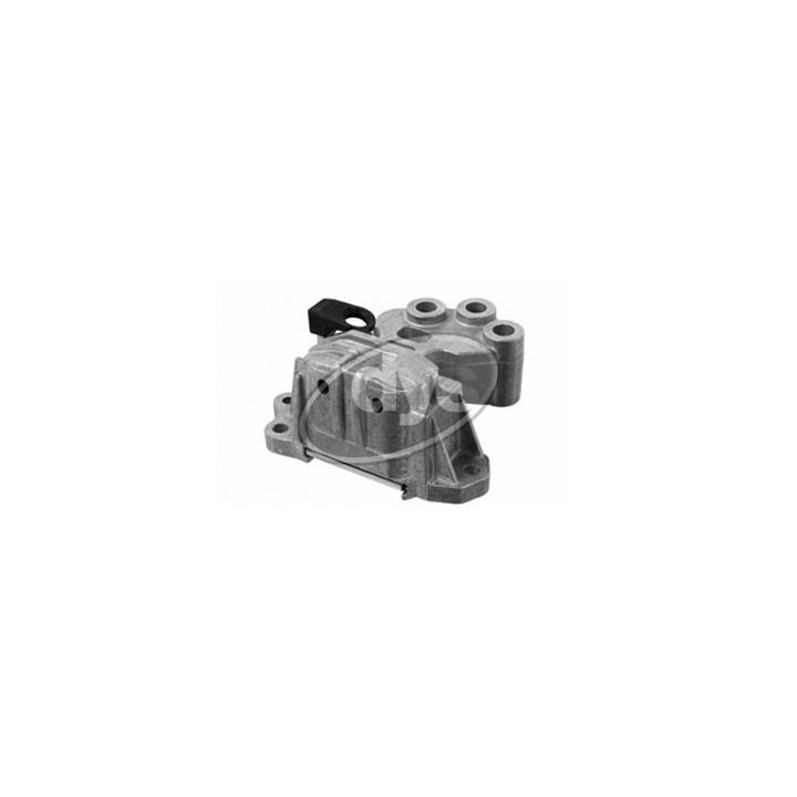 Variklio montavimas DYS 71-03176