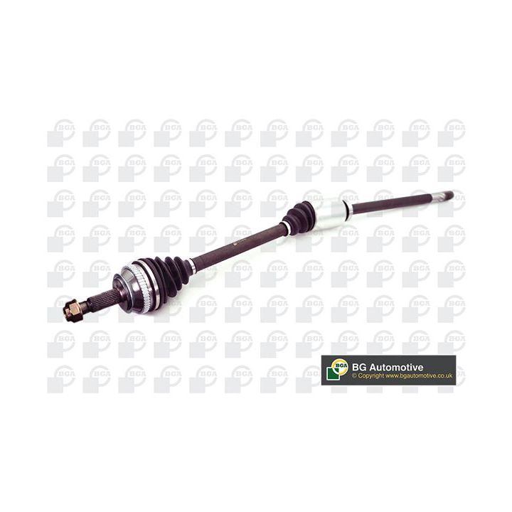 Pusašis BGA DS7312RA