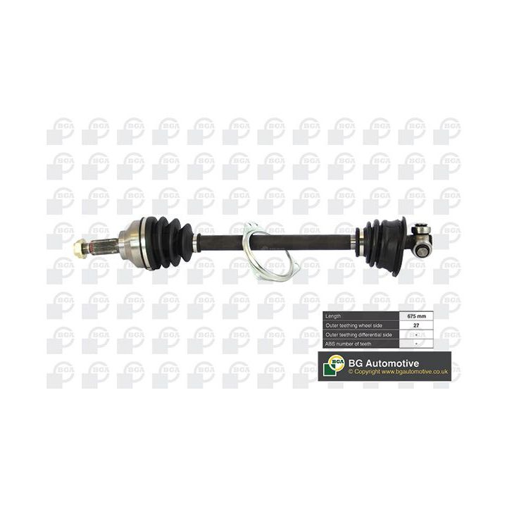 Pusašis BGA DS7319L