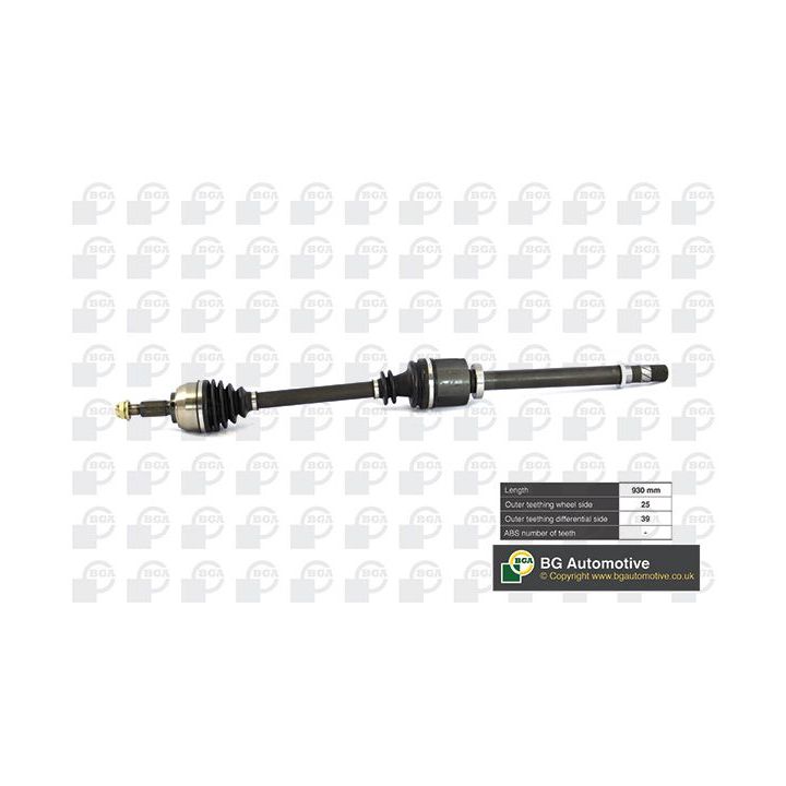 Pusašis BGA DS7331RA