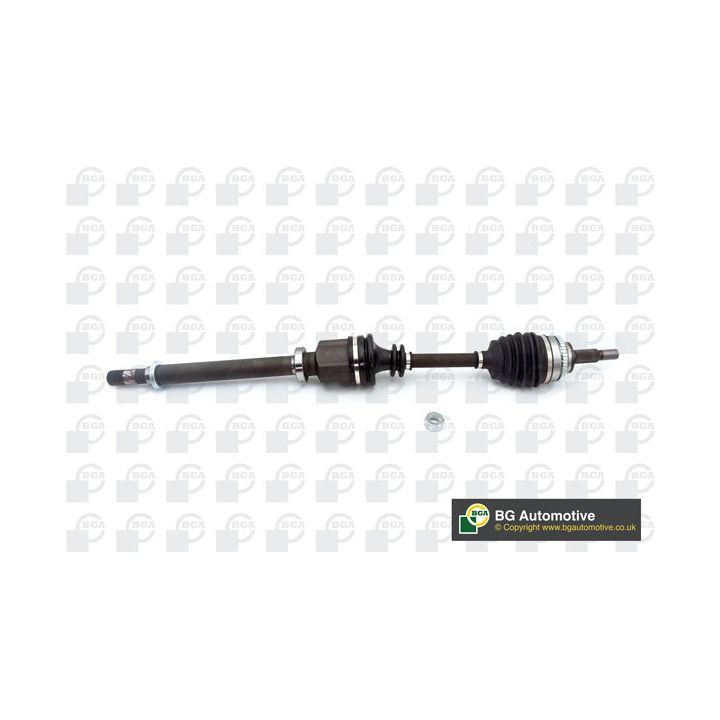 Pusašis BGA DS7346R