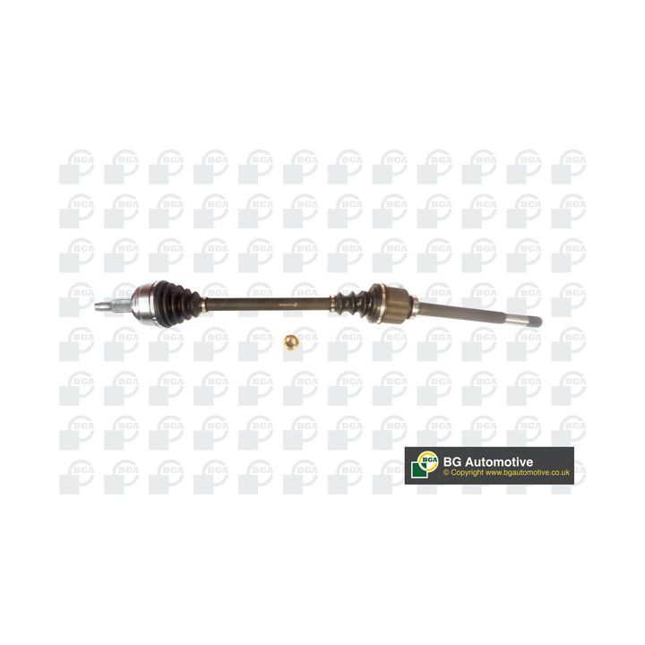 Pusašis BGA DS7359R