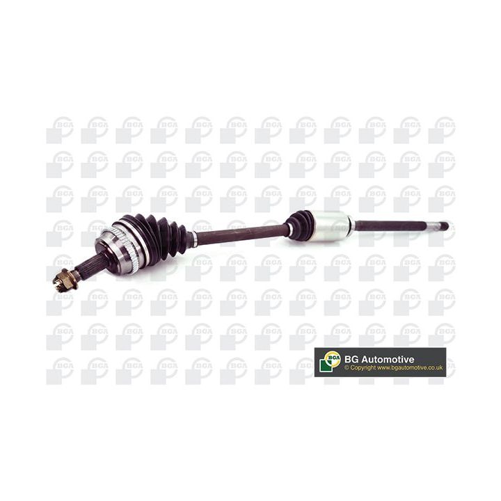 Pusašis BGA DS9510RA