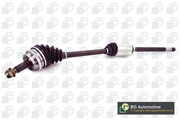 Pusašis BGA DS9510RA