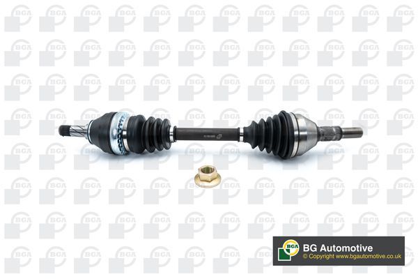 Pusašis BGA DS9511L