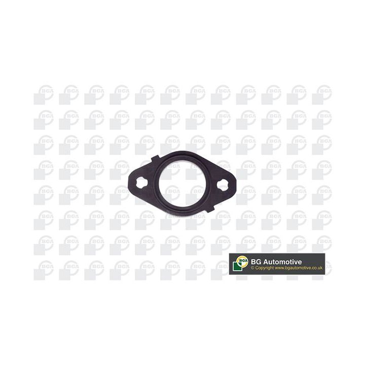 Tarpiklis, išleidimo kolektorius BGA MG22040