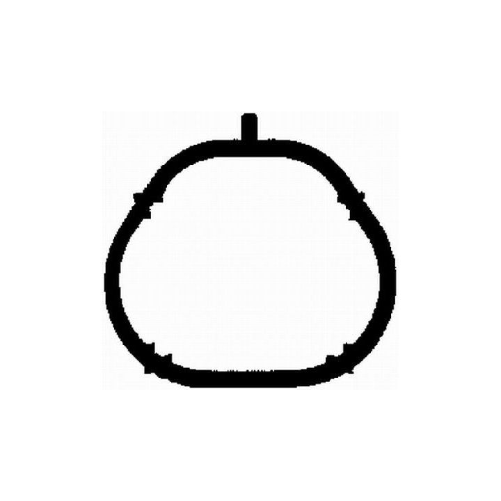 Tarpiklis, išleidimo kolektorius BGA MG2528