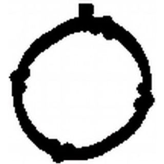 Tarpiklis, išleidimo kolektorius BGA MG6736