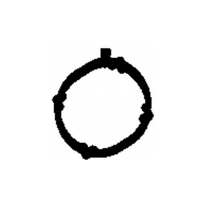 Tarpiklis, išleidimo kolektorius BGA MG6736